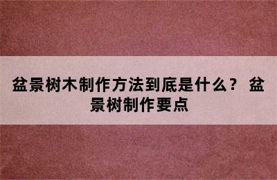 盆景树木制作方法到底是什么？ 盆景树制作要点